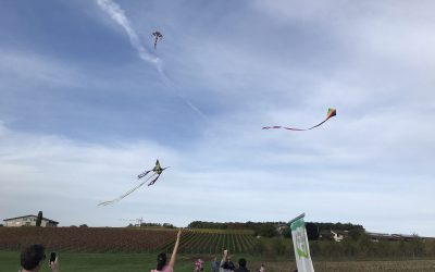 Wieder Drachenfest in Talheim